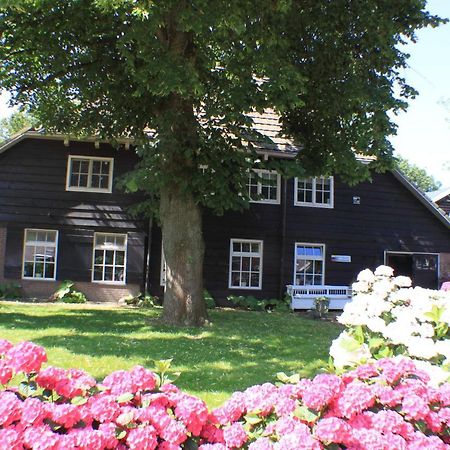 Appartamento Op Zestien Hippolytushoef Esterno foto