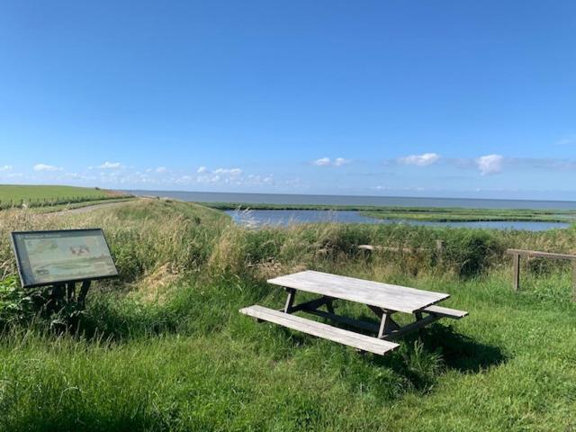 Appartamento Op Zestien Hippolytushoef Esterno foto