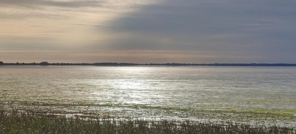 Appartamento Op Zestien Hippolytushoef Esterno foto