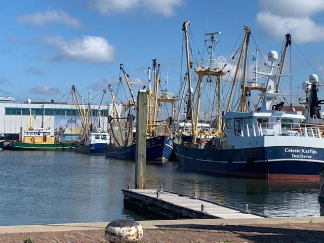 Appartamento Op Zestien Hippolytushoef Esterno foto